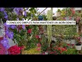 7 CONSEJOS SIMPLES para tener un jardín bonito y poder disfrutar de su belleza | Jardín Díaz
