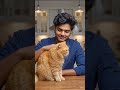 Funny Orange Cat Sudden Mood Swing! 🐱💢