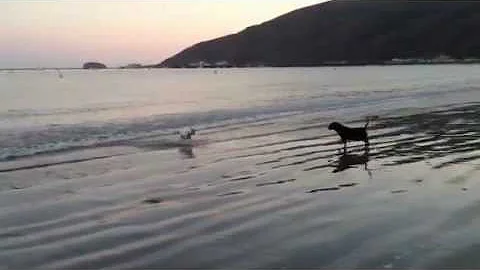 Todd at Avila Beach