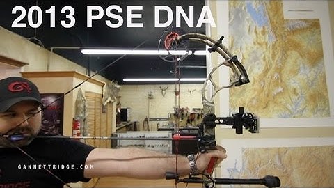 2013 PSE Dream Season DNA