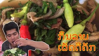 ກິນລາບງົວ, กินลาบงัว -ບ່າວແລັດ -บ่าวแลัด| ສະແຕກຈ້າ | สะแตกจ้า