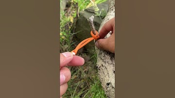 A Genius Knot - Simple yet Useful! #lifehacks #lifeskills #knots