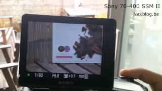 AF speed comparison Minolta 400G F4.5  vs. Sony 70 400G F4-5.6 SSM II