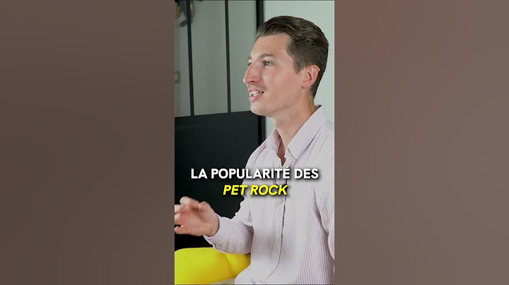 Millionnaire en vendant « des cailloux de compagnie »