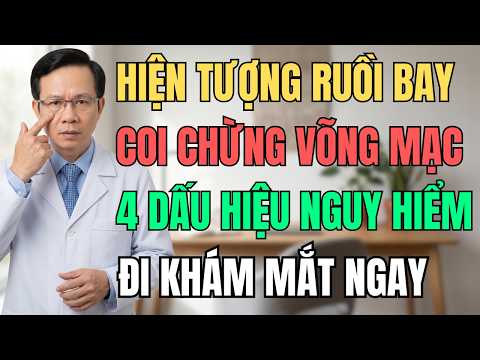 Ruồi Bay Trong Mắt Có Nguy Hiểm Không? 4 Dấu Hiệu Phải Đi Khám Ngay