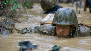 Marines Jungle Endurance Course