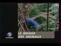 Lanne du zapping 98  les animaux