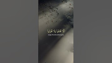 ألا تخافوا ولا تحزنوا🤍 | سورة فصلت  #قرآن #قران_كريم #quran #islam