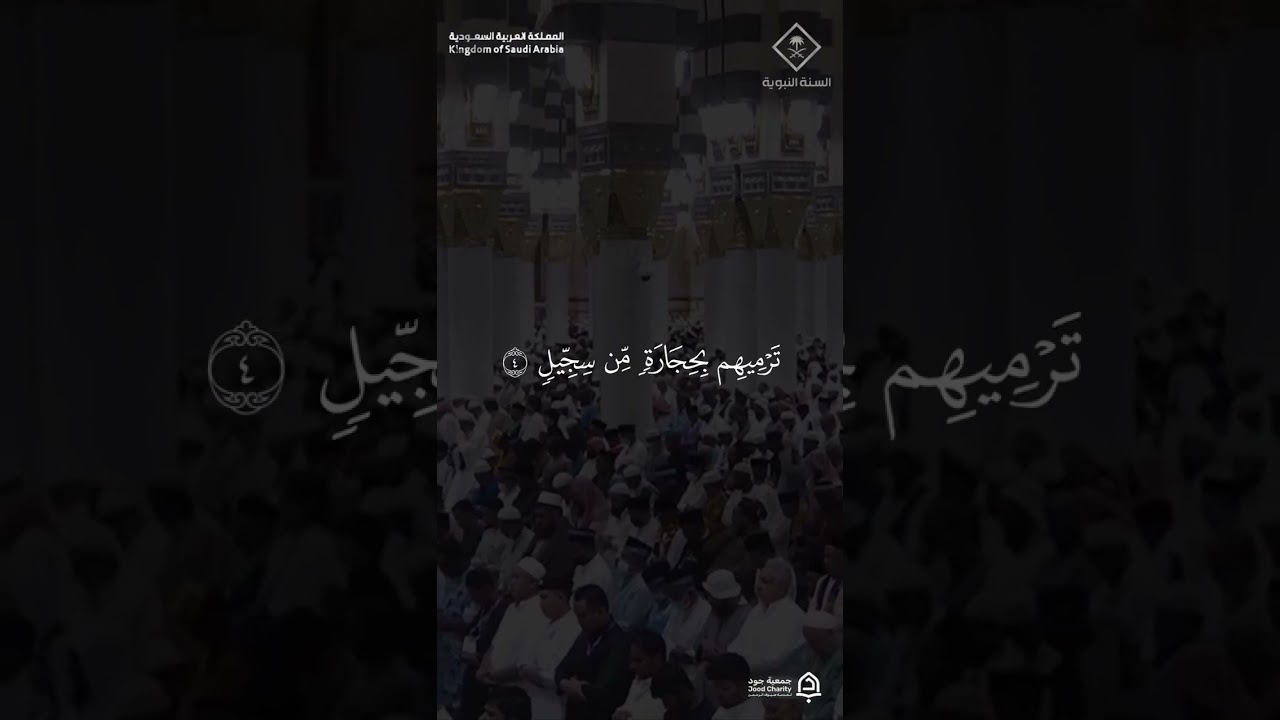 مقتطف من تلاوة فضيلة الشيخ #عبدالمحسن_القاسم من صلاة المغرب 18 ذو القعدة 1447هـ #المسجد_النبوي