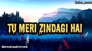 Tu meri zindagi hai || Lofi || Anuradha Paudwal & Kumar Sanu || Slowed and reverb || Lyrics