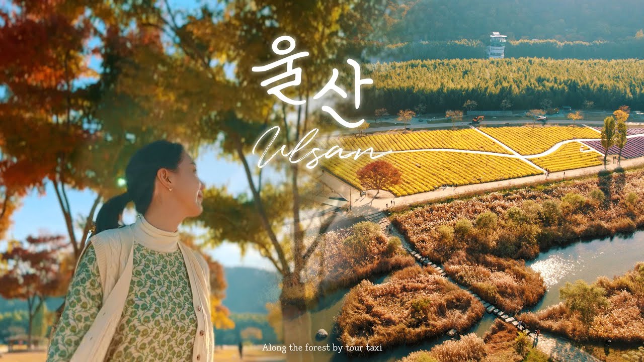 🚖관광택시 타고 울산 여행🚖 울산의 새로운 발견, 숲을 따라 가는 여행 - YouTube