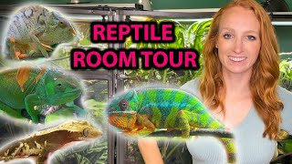 REPTILE ROOM TOUR WITH CHAMELEONS by Neptune the Chameleon 2,472 views 10 months ago 14 minutes, 57 seconds