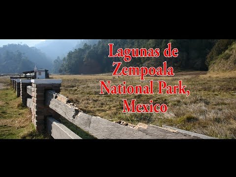 A glimpse of Lagunas de Zempoala National Park | English | Subtitles | 2018 | Canadian in Mexico