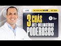 Live  3 chs antiinflamatrios poderosos  faa em casa