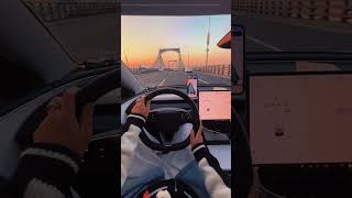 Invisible Magnetic Phone Stand for Tesla Model 3/Y | Daily Driving Convenience #tesla #teslamodel3