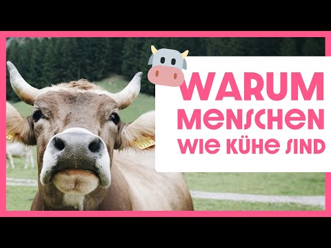 Re-Stream: Im Glauben wachsen? Was Jüngerschaft wirklich bedeutet | Chris Hentschel & Tina Kalb