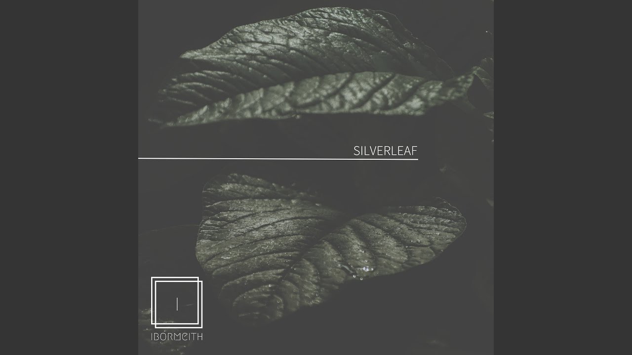 Watch Silverleaf on YouTube Watch Silverleaf on YouTube