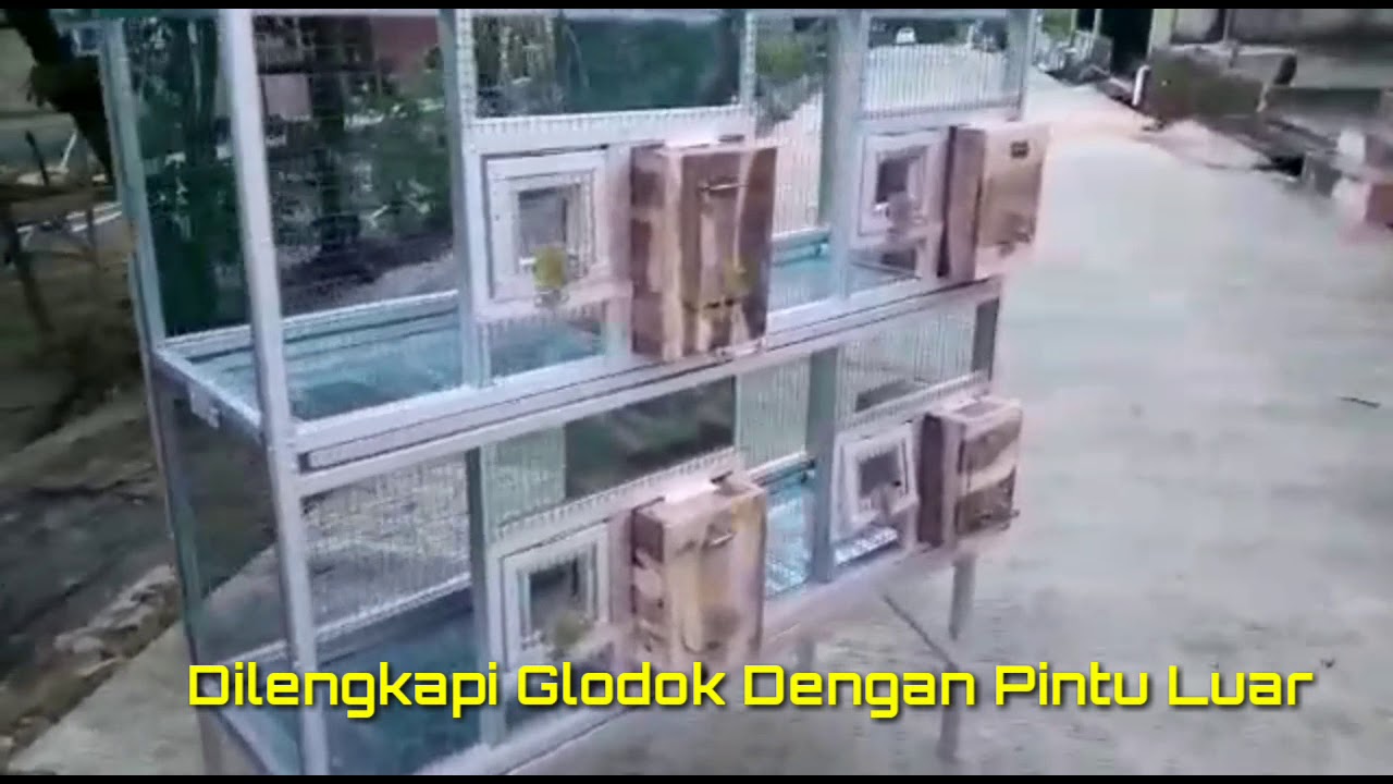 Kandang Ternak Lovebird Bahan Baja Ringan Hollow 