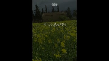 ويسألونك عن دي القرنين/# تلاوة جميلة سورة الكهف القارئ احمد النفيس kkk#@#