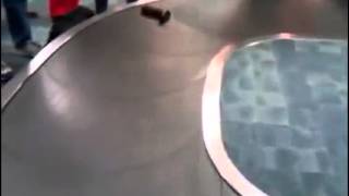 caiu da bolsa, pegai