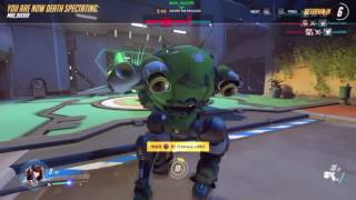 D.Va X6
