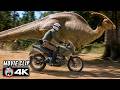 The Dinosaur Hunt Begins| The Lost World: Jurassic Park (4K)