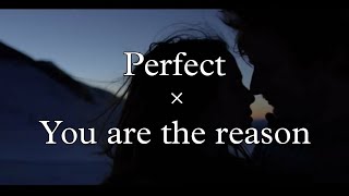 You are the Perfect Reason | Ed Sheeran x Calumn Scott | musicks