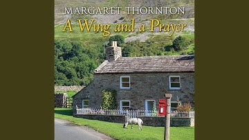 Chapter 21.5 - A Wing and a Prayer