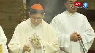 Mass on the First Day of Simbang Gabi at the Manila Cathedral | 16 December 2019