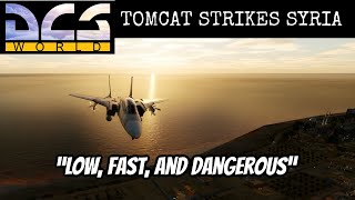 DCS: F-14 Tomcat Bombs Syrian Chemical Weapons Site screenshot 2