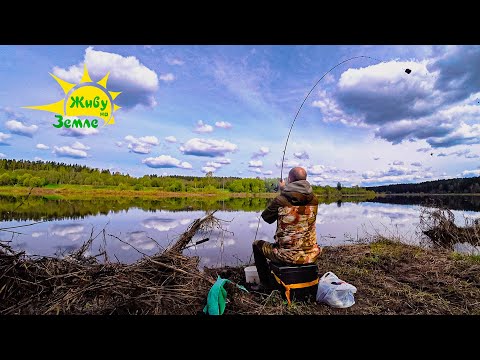 Пшено с Красным Перцем в Прикормку! Ловля Леща Весной. Рыбалка Весной 2024