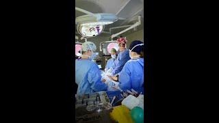 AMC's New Institute for Surgical Care by The Schwarzman Animal Medical Center 261 views 2 months ago 1 minute, 30 seconds