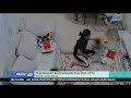 Capek Jadi Alasan ART Pelaku Penganiayaan