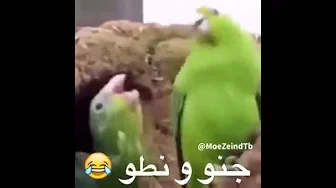 Jeno noto el baba8a2en😂😂😂😂😂😂