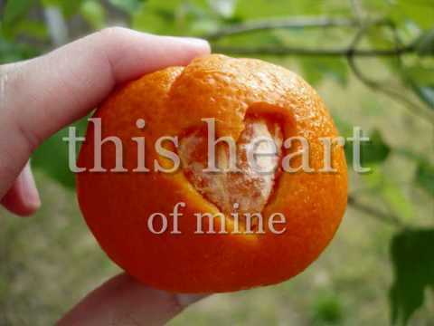 Say It Again Video