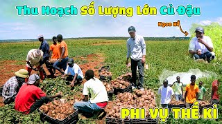 Quanglinhvlogs || Phi Vụ Thế Kỉ Mang Tên " Củ Đậu "