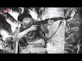 Bộ Đội Giải Phóng Việt Nam Bị Pôn Pốt Phục Kích Tại Biên Giới Campuchia - Phim Chiến Tranh Việt Nam