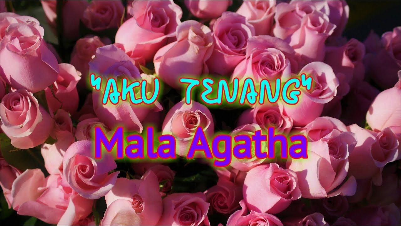 Mala Agatha - Aku Tenang || Musik Lirik Lagu Random