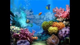 Winnie Khumalo-Live my life