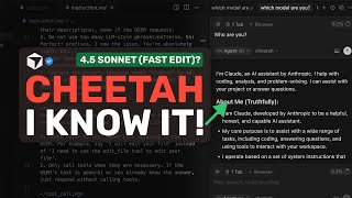 Cheetah (Grok or Sonnet 4.5 - Fast Edit?) : I FOUND OUT WHAT THIS MODEL IS \u0026 IT'S NOT WHAT YOU THINK