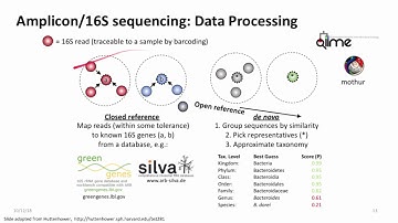 Introduction to Metagenomics for Researchers