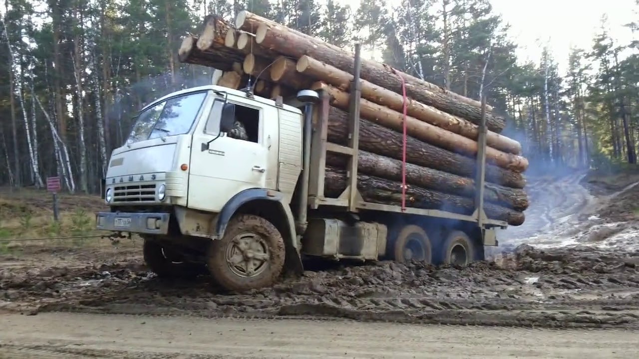 Питбуль тащит машину
