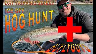 Stillwater Fly Fishing: BCFLYGUYS Day Tripping PLUS (S04E03) | Ice Off Hog Hunt - Deep Dive