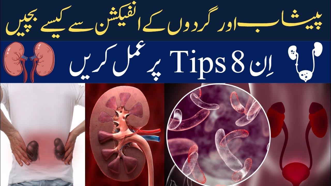 How to Prevent UTI Urine Infection kidney Infection UTI Infection