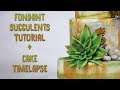Cake Tutorial + Three Types of Fondant Succulents!