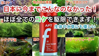 コケ取り剤でコケを駆除する方法【アクアリウム】