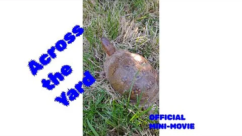 RBA - Across the Yard (Official Mini-Movie)