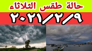 الارصاد الجوية تكشف عن حالة طقس الثلاثاء ٩ فبراير ٢٠٢١ وتحذر من الشبورة وارتفاع درجات الحرارة