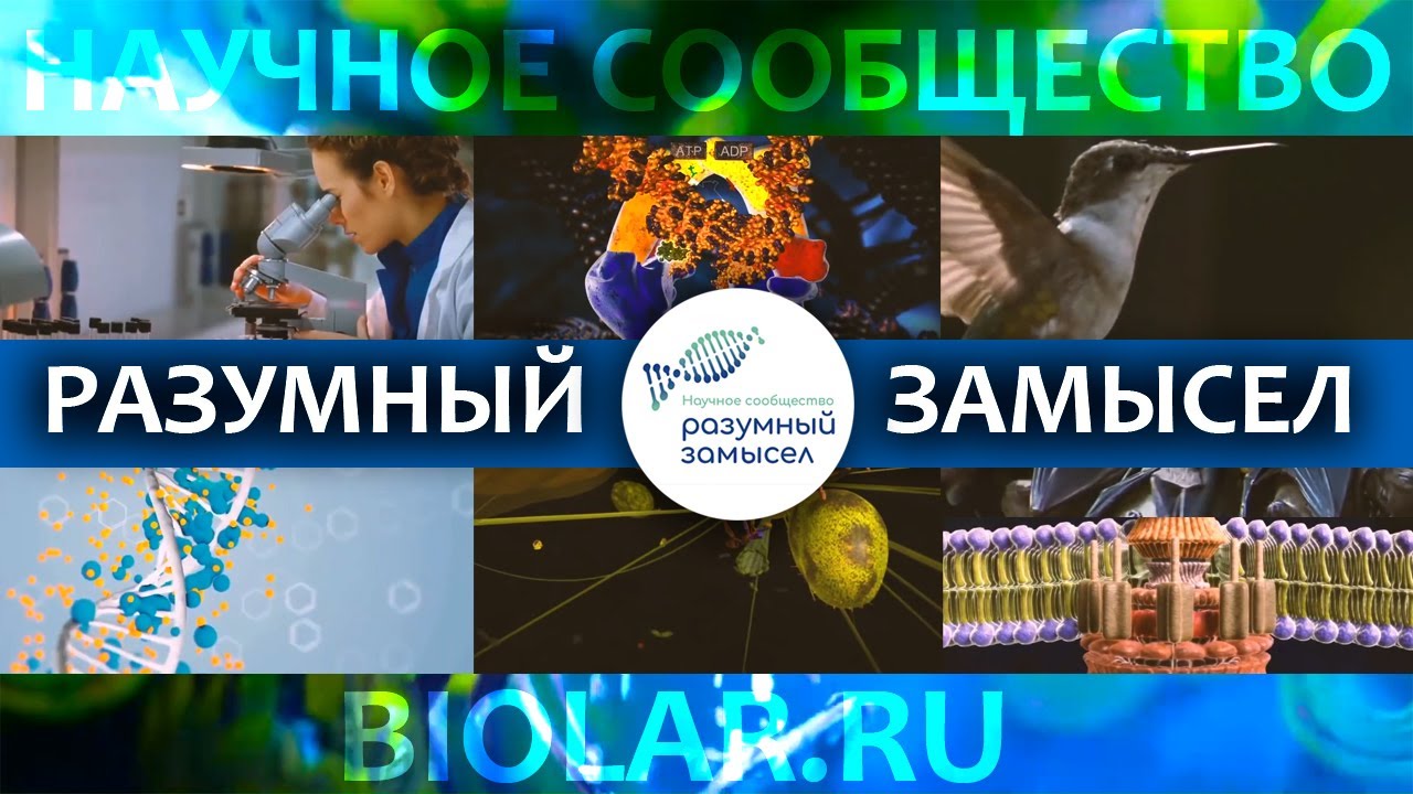 ⁣О чём кричат научные открытия | Современные научные открытия, опровергающие теорию эволюции.