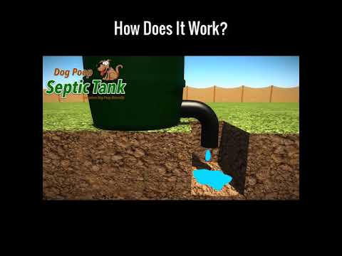 How Does The Dog Poop Septic Tank Work Youtube